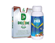 Decide Ncs Spring Ever